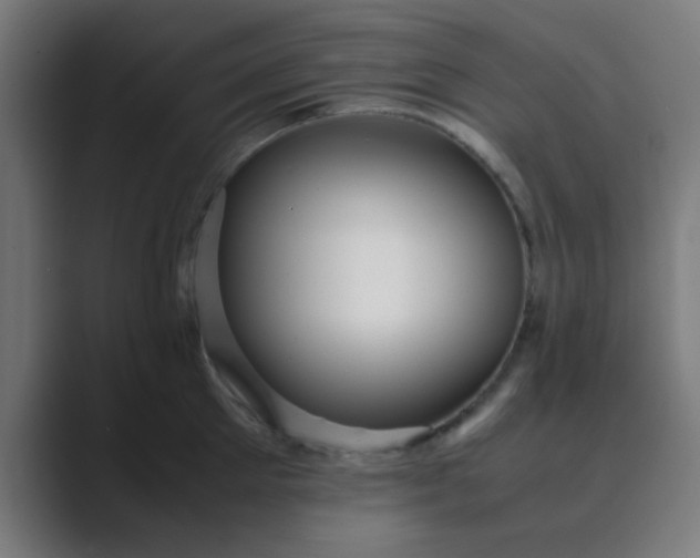 X0000089460905200706291459