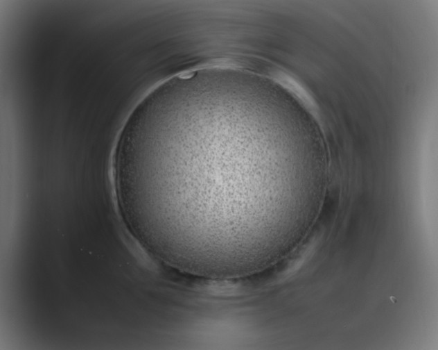 X0000089460907200706291459