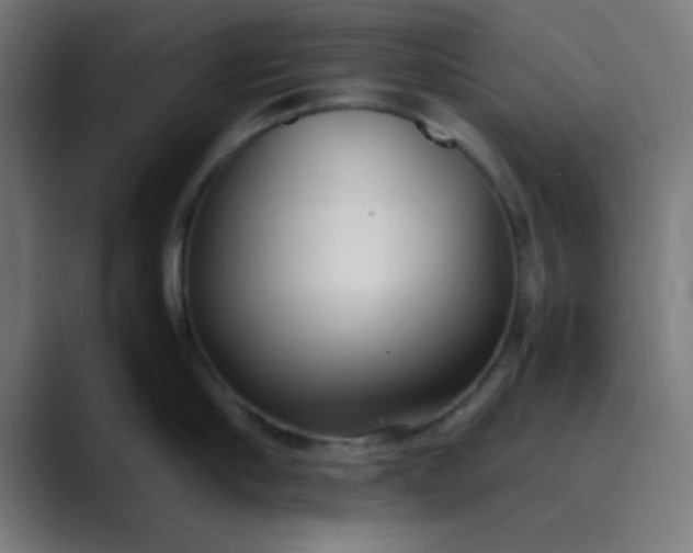 X0000089460910200706291459