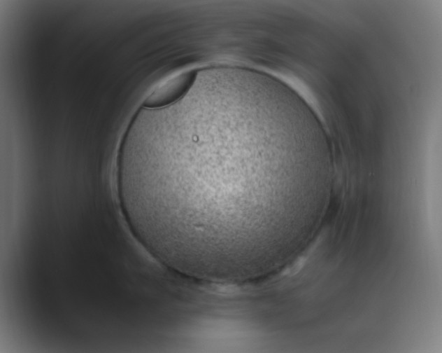 X0000089460911200706291459