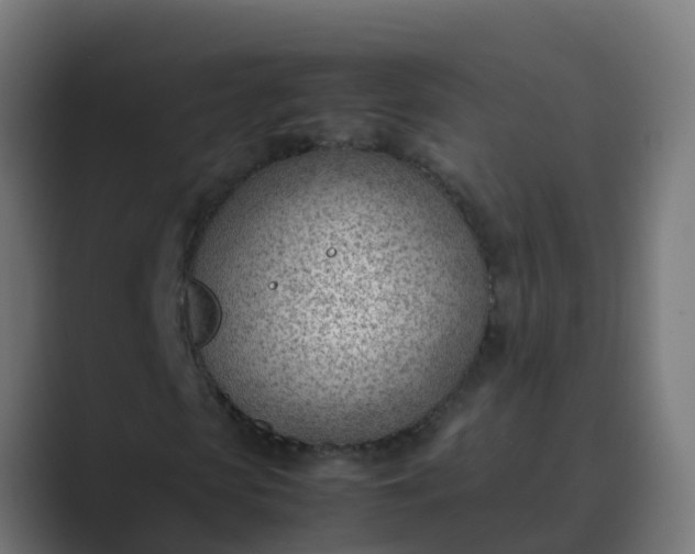 X0000089460913200706291458
