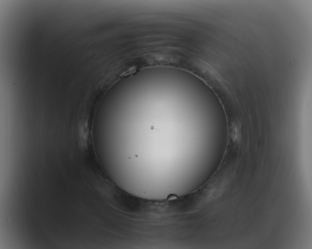 X0000089460915200706291458