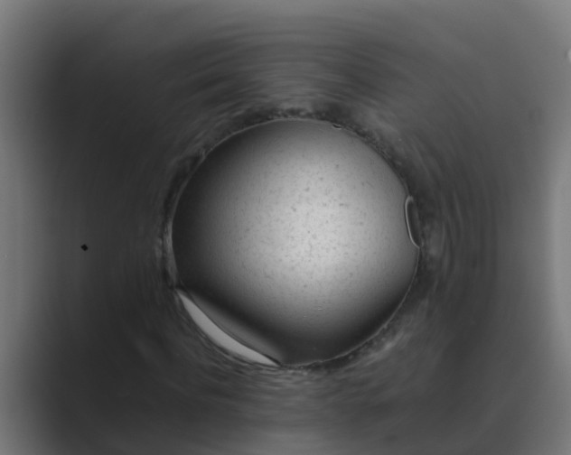 X0000089460916200706291458