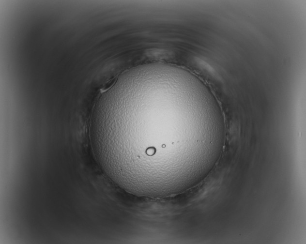 X0000089460917200706291458