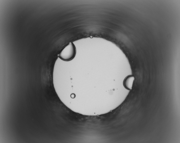 X0000089460918200706291458