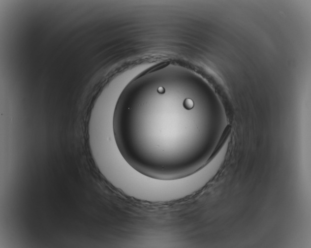 X0000089460920200706291458