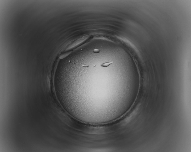 X0000089460921200706291458