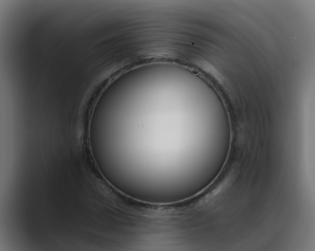 X0000089460922200706291458