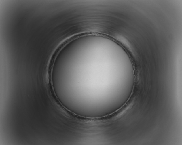 X0000089460924200706291458