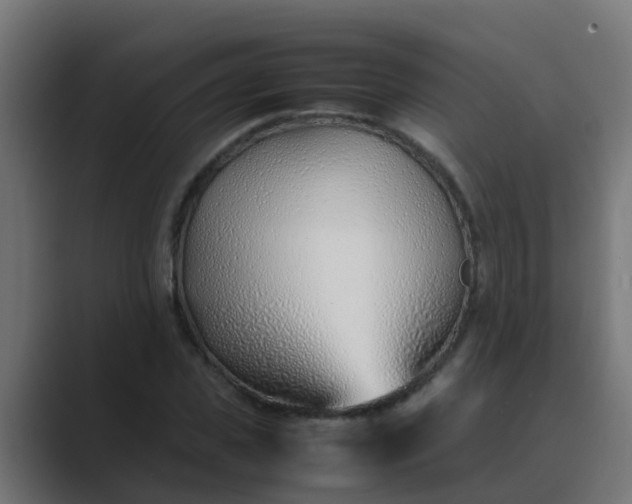X0000089460925200706291458