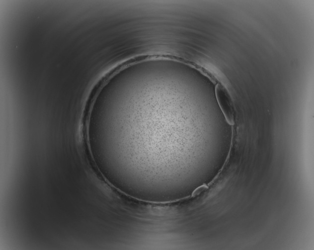 X0000089460928200706291458