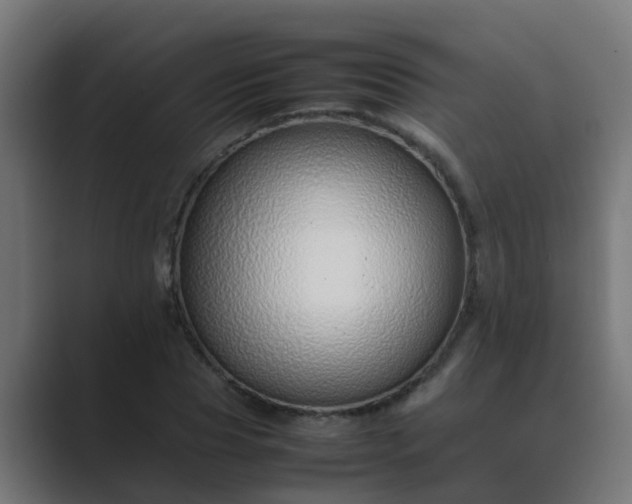 X0000089460929200706291458
