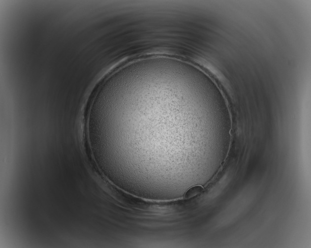 X0000089460933200706291458