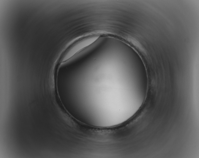 X0000089460934200706291458