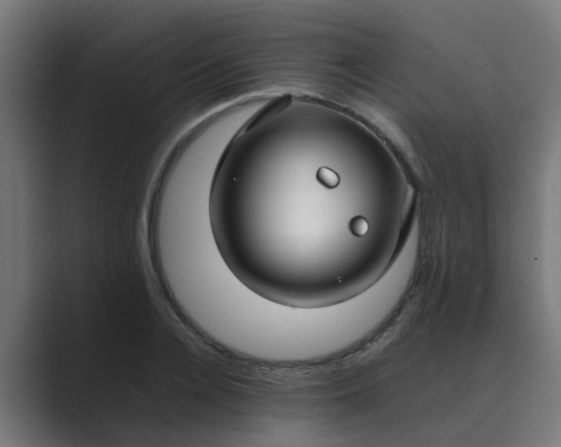 X0000089460936200706291458