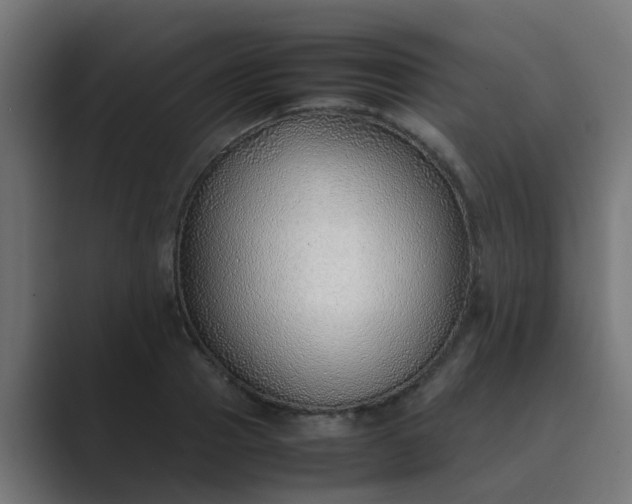 X0000089460937200706291458