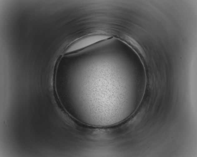 X0000089460938200706291459