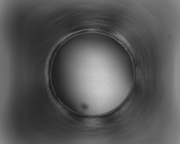 X0000089460939200706291459