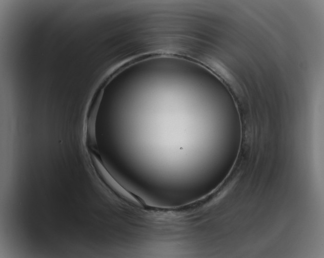 X0000089460940200706291459