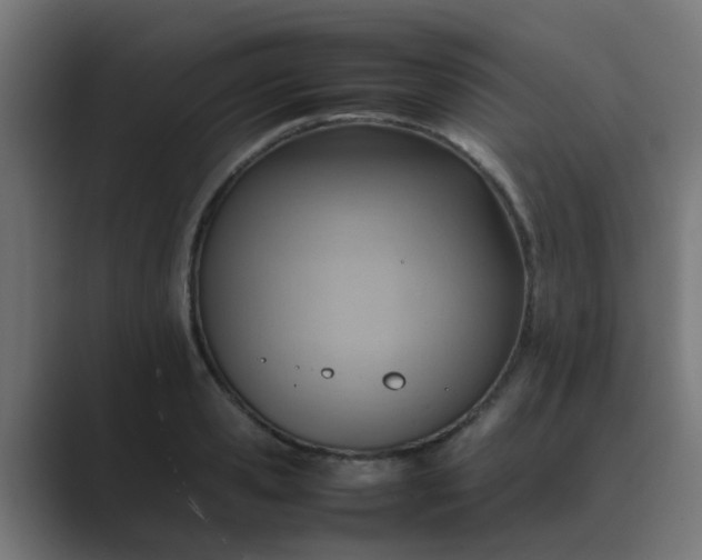 X0000089460941200706291459