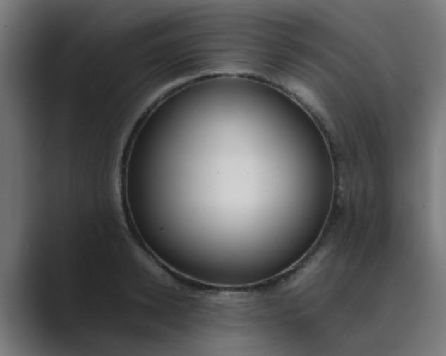 X0000089460942200706291459