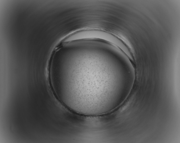 X0000089460944200706291459