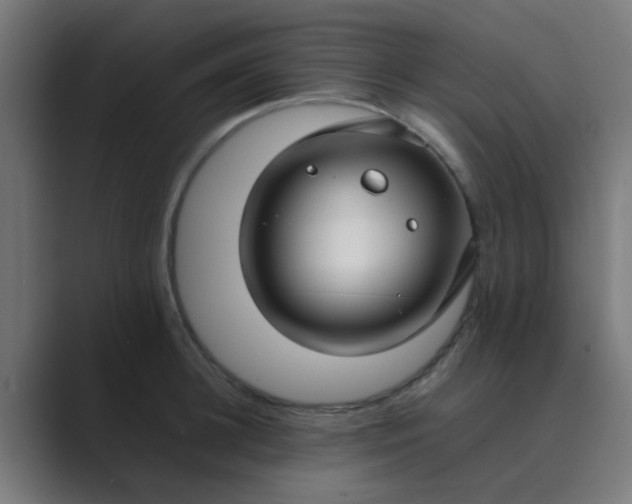 X0000089460948200706291459