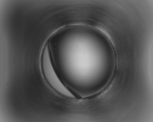 X0000089460949200706291459