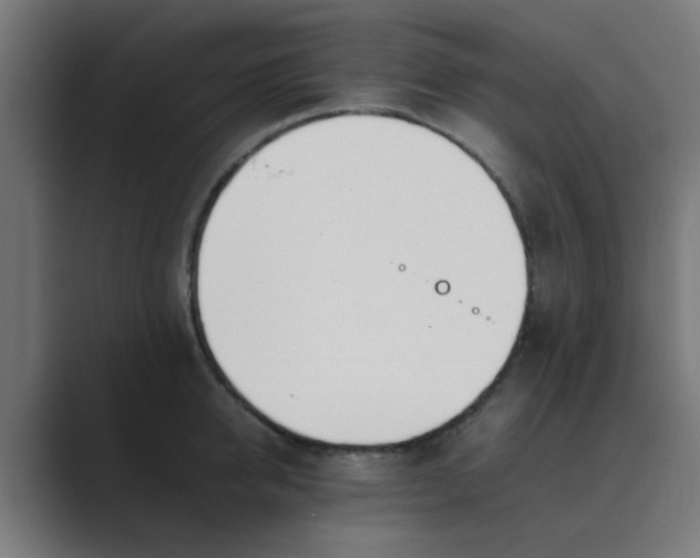 X0000089460950200706291459