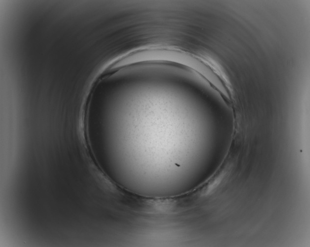 X0000089460952200706291459