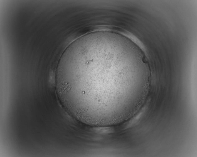 X0000089460953200706291459