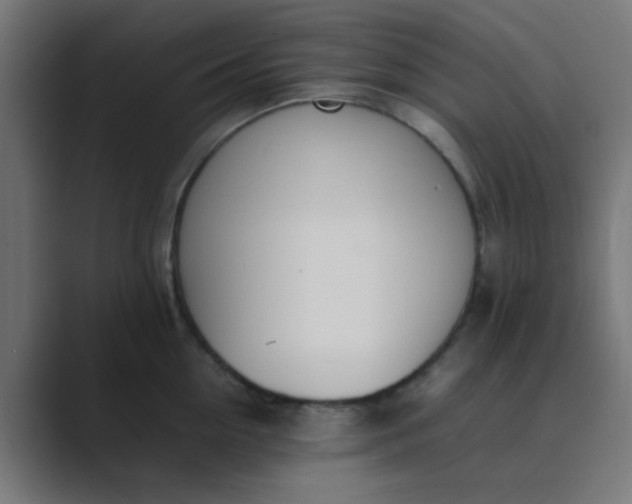 X0000089460954200706291459