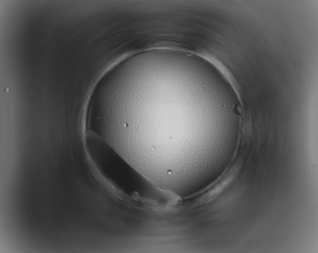 X0000089460957200706291459
