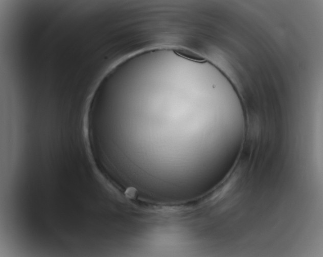 X0000089460958200706291459