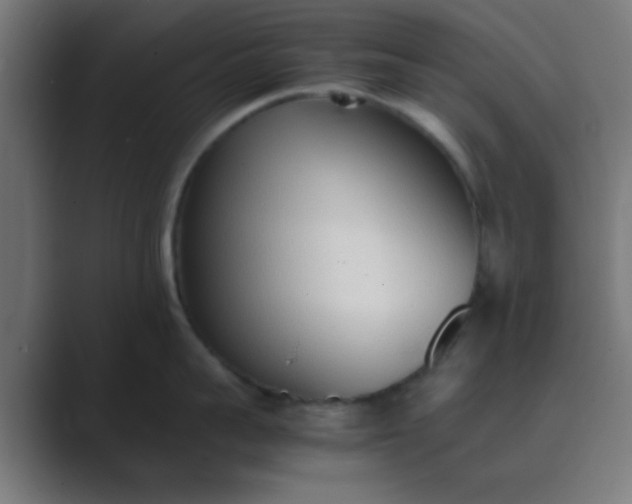 X0000089460959200706291459