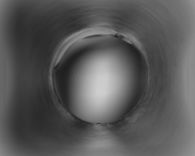 X0000089460960200706291459