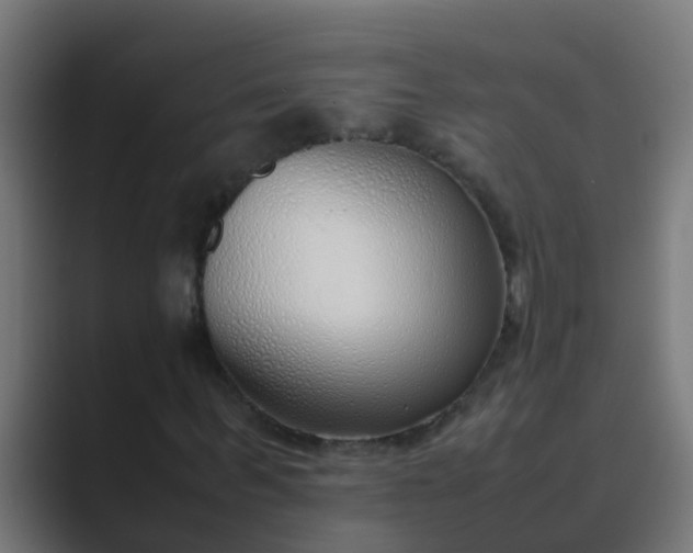 X0000089460963200706291458