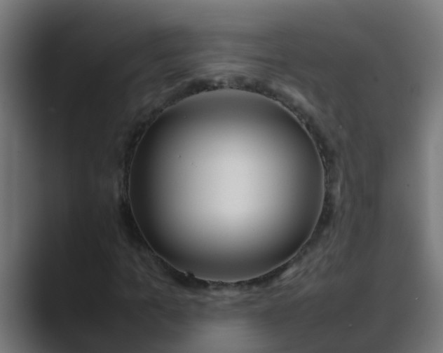 X0000089460965200706291458