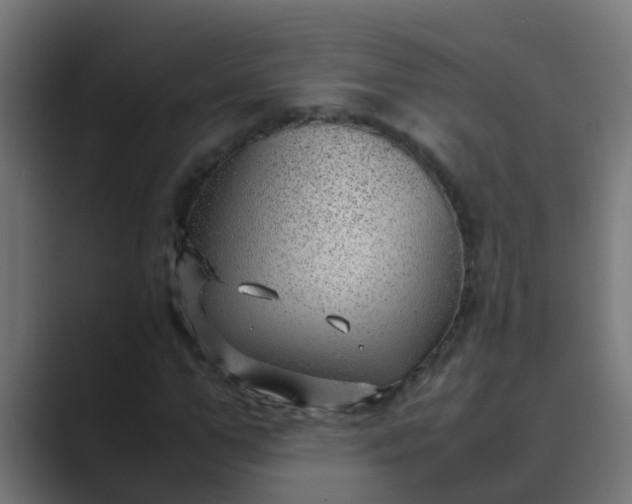 X0000089460967200706291458