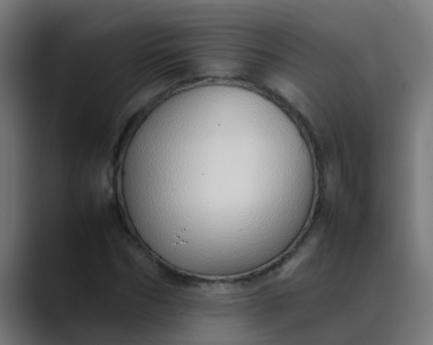 X0000089460970200706291458