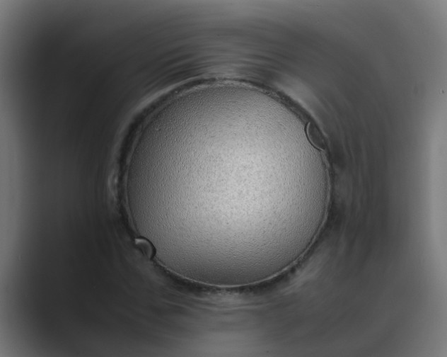 X0000089460971200706291458