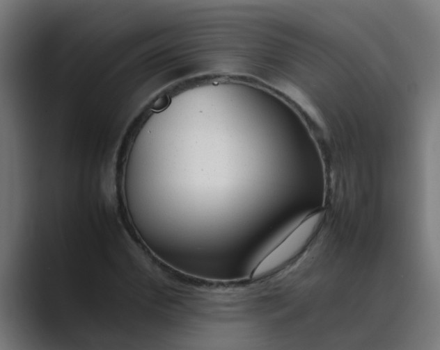 X0000089460972200706291458