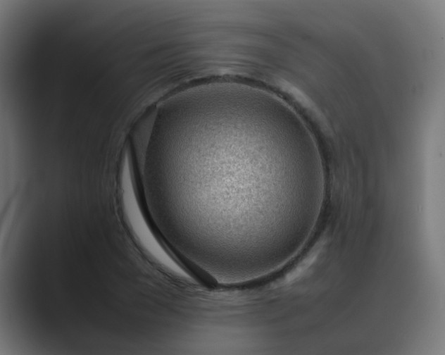 X0000089460977200706291458