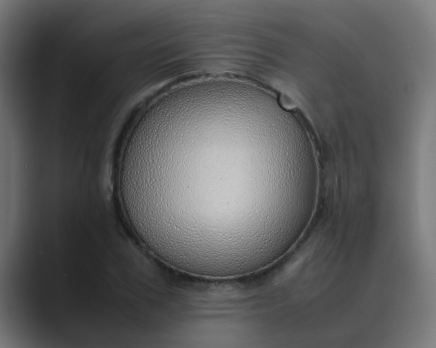 X0000089460979200706291458