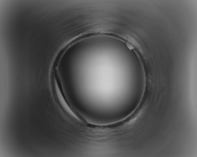 X0000089460981200706291458