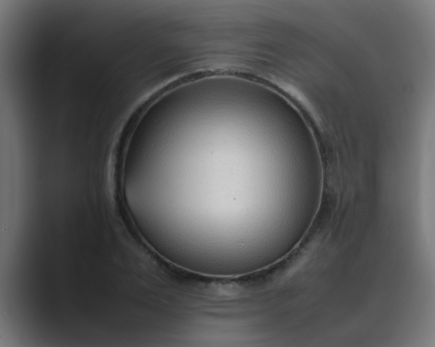 X0000089460983200706291458