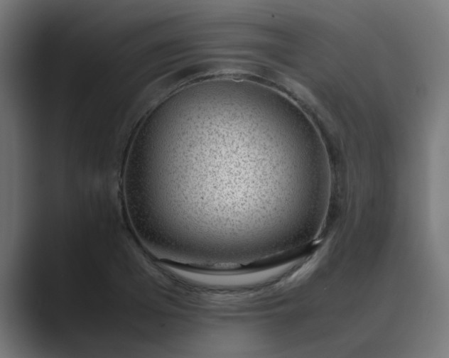 X0000089460985200706291458