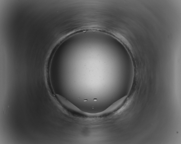 X0000089460989200706291458