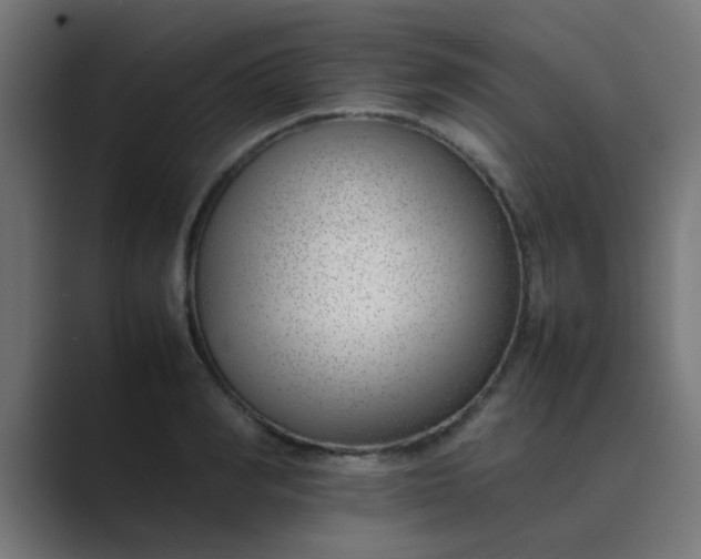 X0000089460990200706291458