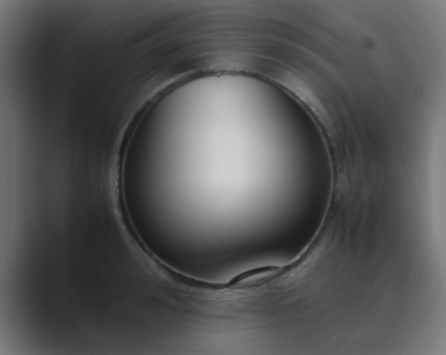 X0000089460992200706291458